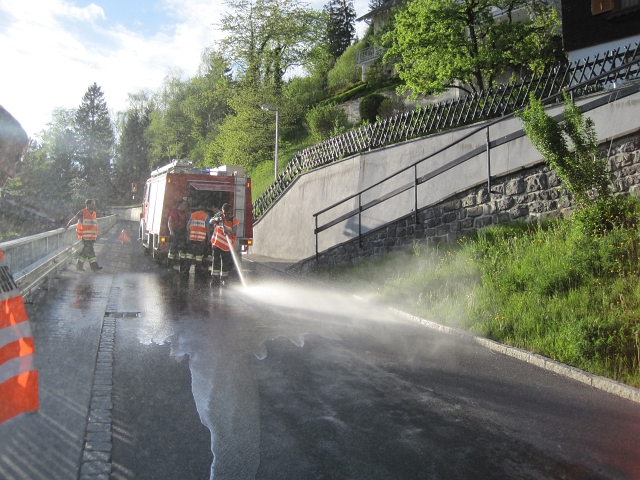 bild (12)